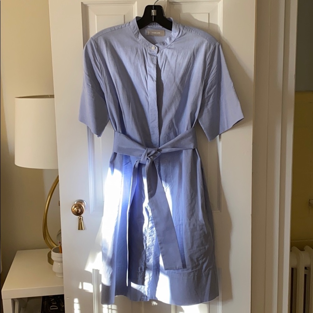 Everlane cotton dress